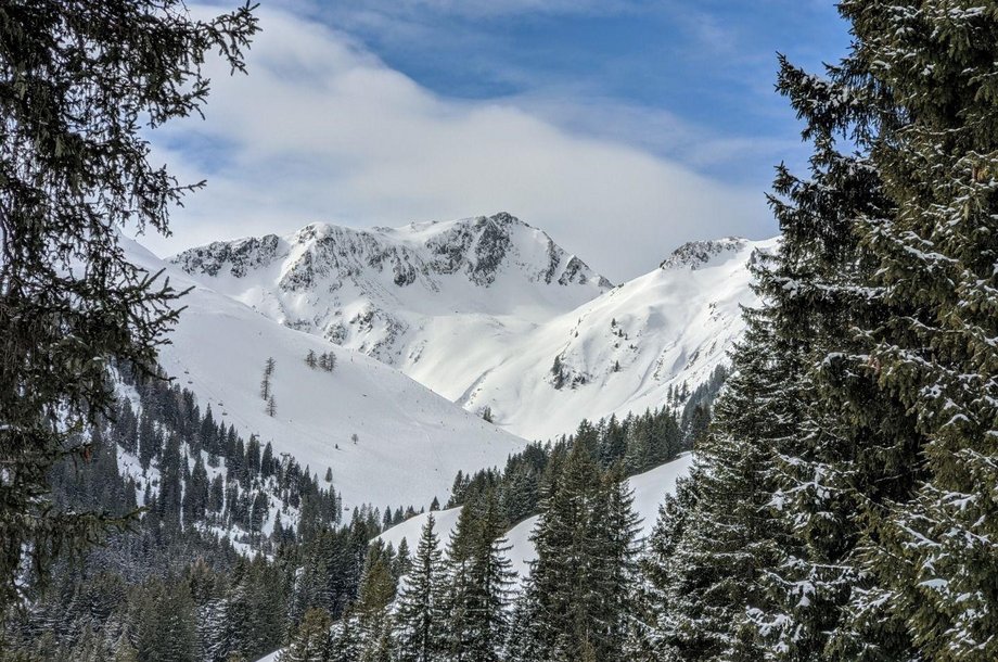 Winterpanorama-bei-der-Trattenbachalm.jpg