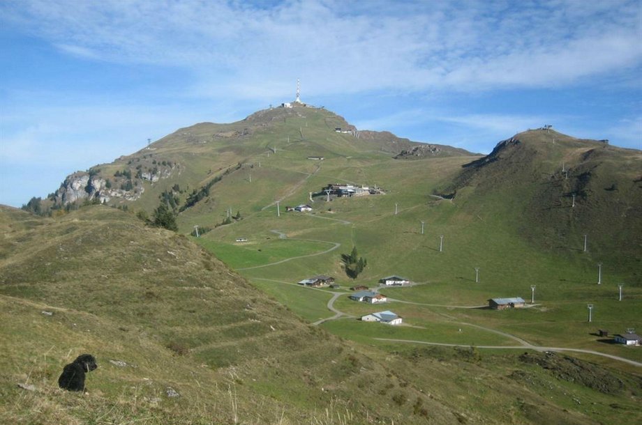 Panoramastrasse.jpg